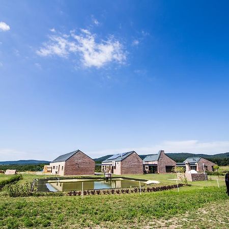 Oeregtoelgy Vendeghaz Villa Szar Bagian luar foto