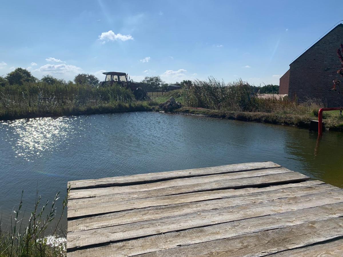 Oeregtoelgy Vendeghaz Villa Szar Bagian luar foto