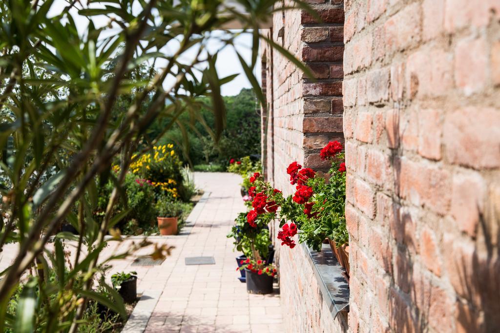 Oeregtoelgy Vendeghaz Villa Szar Bagian luar foto