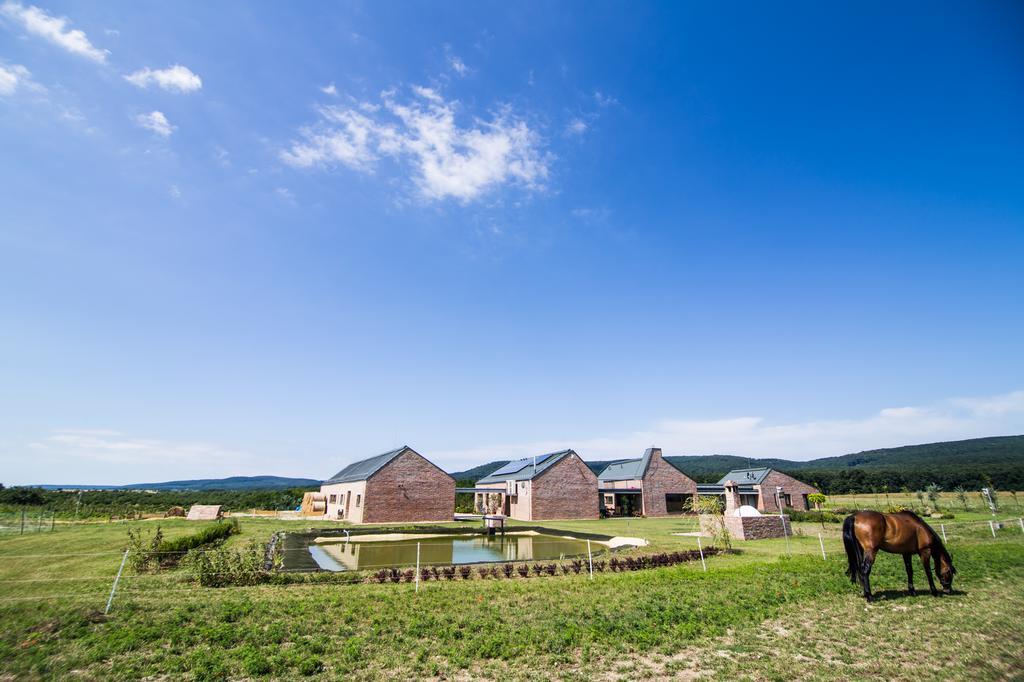 Oeregtoelgy Vendeghaz Villa Szar Bagian luar foto