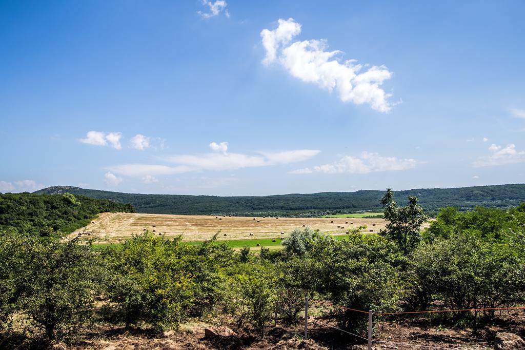 Oeregtoelgy Vendeghaz Villa Szar Bagian luar foto