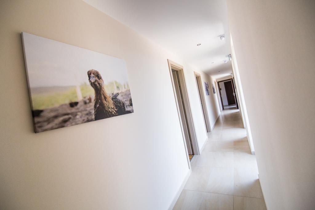 Oeregtoelgy Vendeghaz Villa Szar Bagian luar foto
